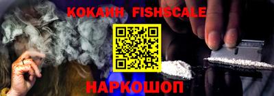 индика Кунгур