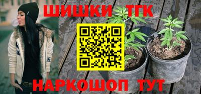 индика Кунгур