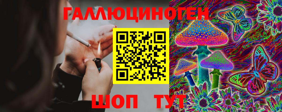 Домодедово  Галлюциногенные грибы мицелий  Вход с VPN 